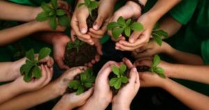 educare-creato-2-720x380